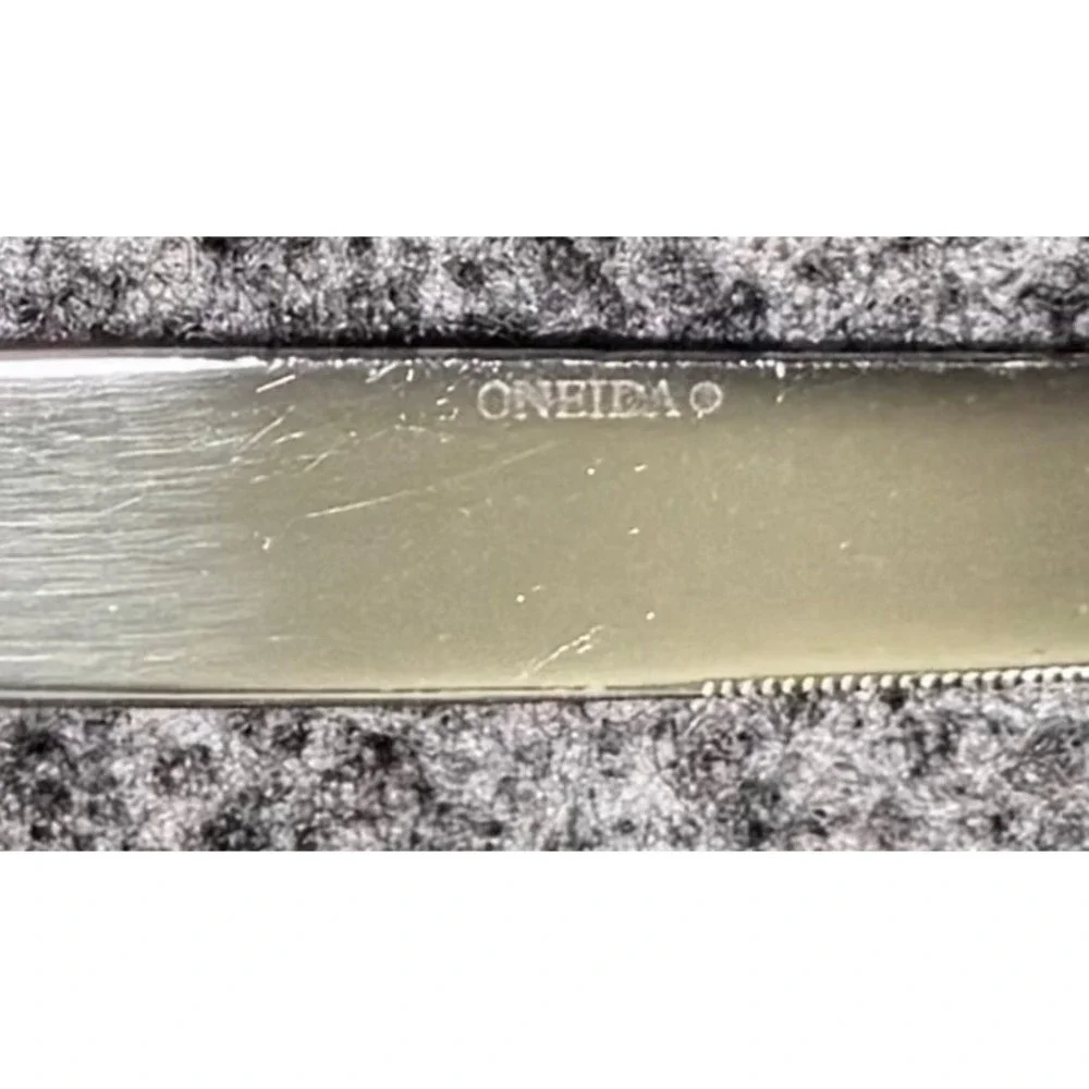 Set of‎ 5 Oneida Silver Satin Frosted Bohemian  Dinner Knives